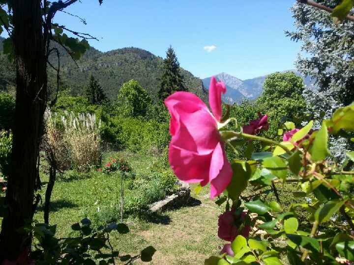 A La Belle Epoque Bed & Breakfast Valdeblore Luaran gambar
