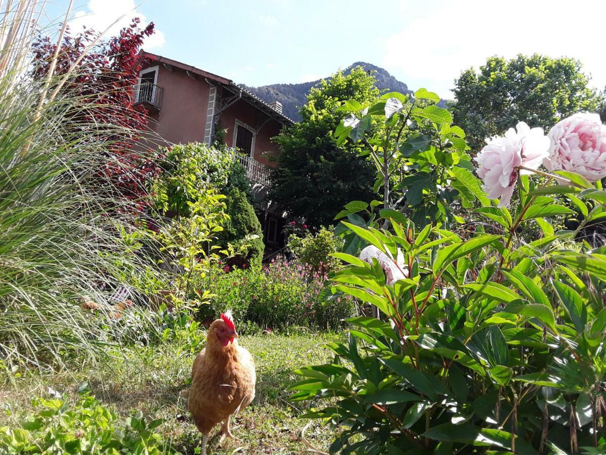 A La Belle Epoque Bed & Breakfast Valdeblore Luaran gambar